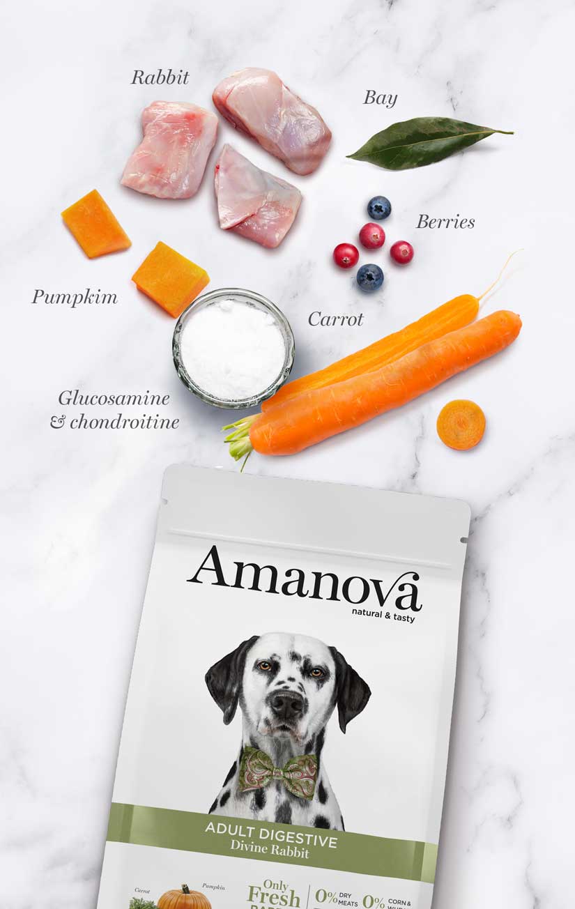 AMANOVA - 2kg & 10kg - ADULT DIGESTIVE - Divine Rabbit - Verse Konijn