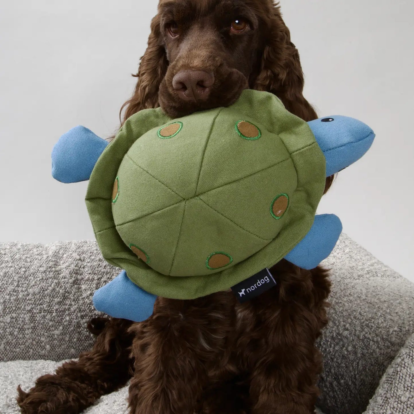 Cuddly toy - Robin the Turtle