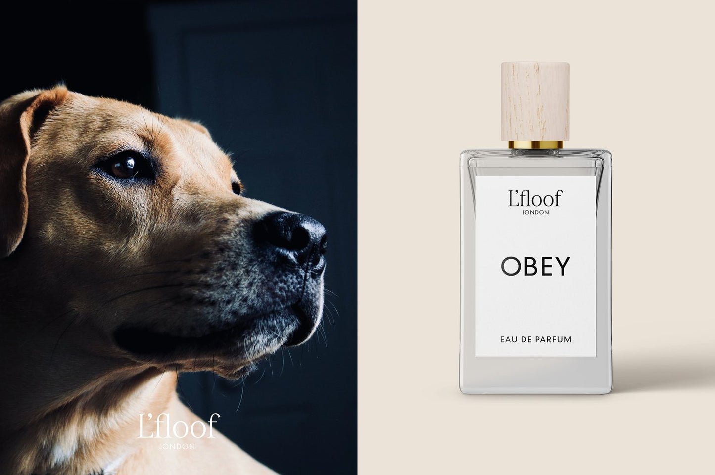 Dog perfume OBEY - 100ML