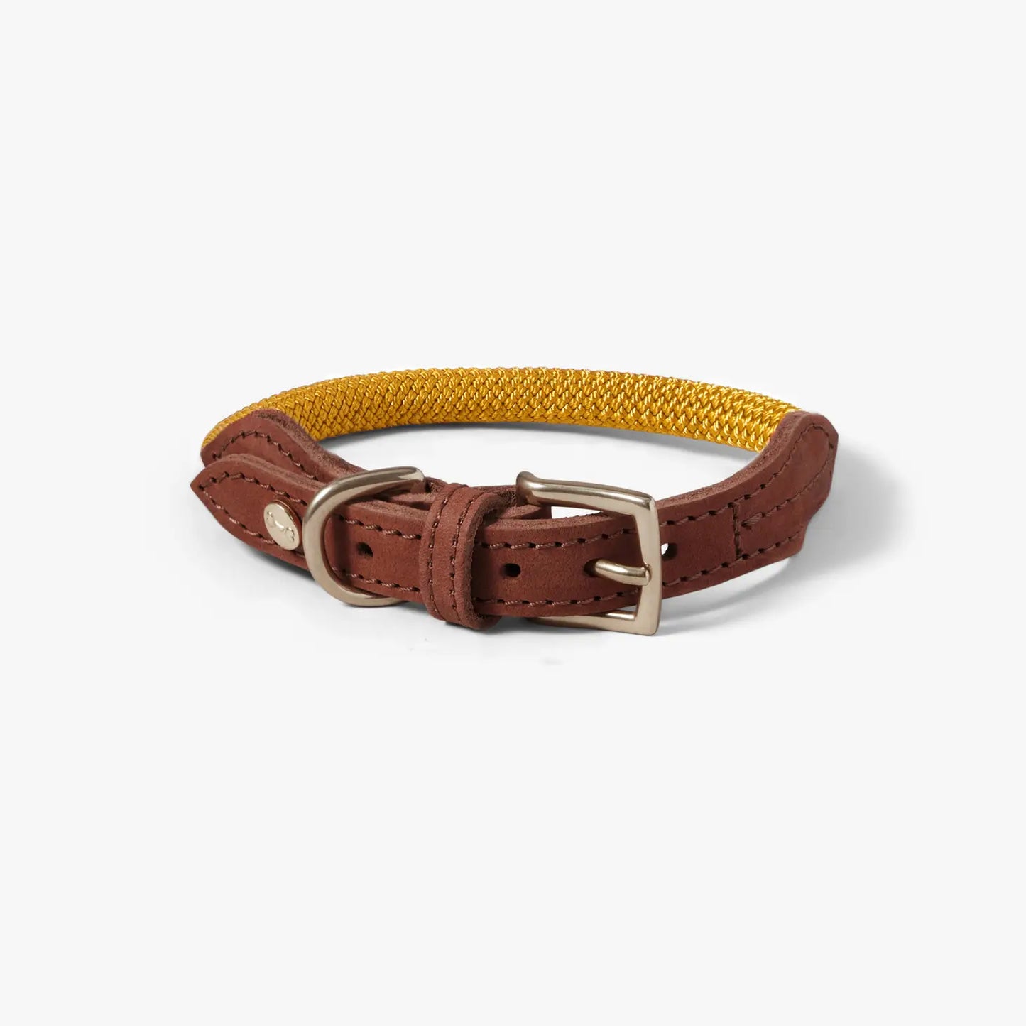 Halsband Sunflower - Denjo Dogs