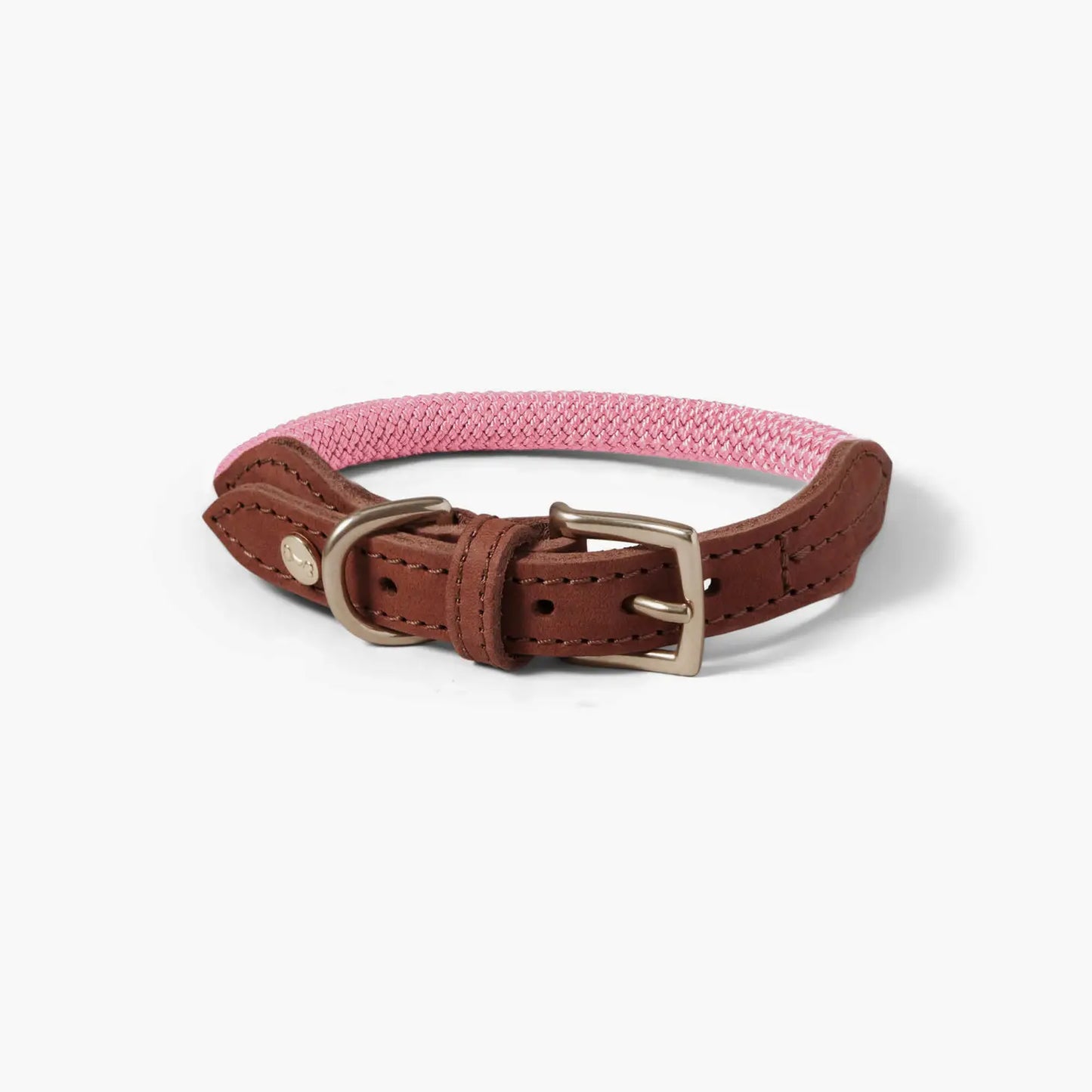 Collar Blossom - Denjo Dogs