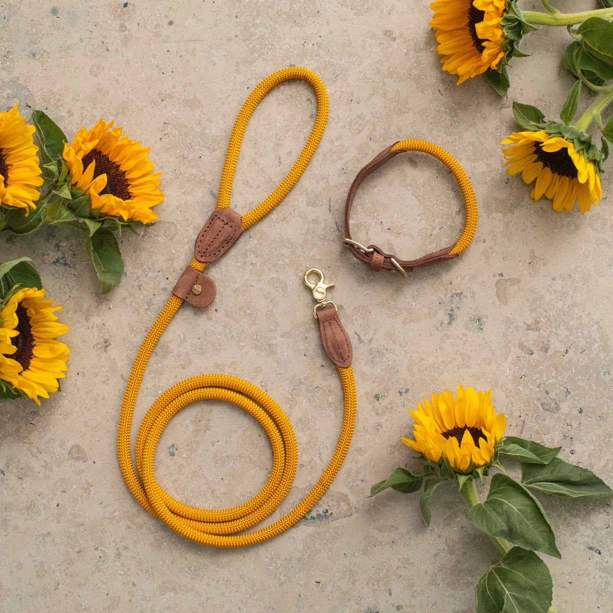 Halsband Sunflower - Denjo Dogs