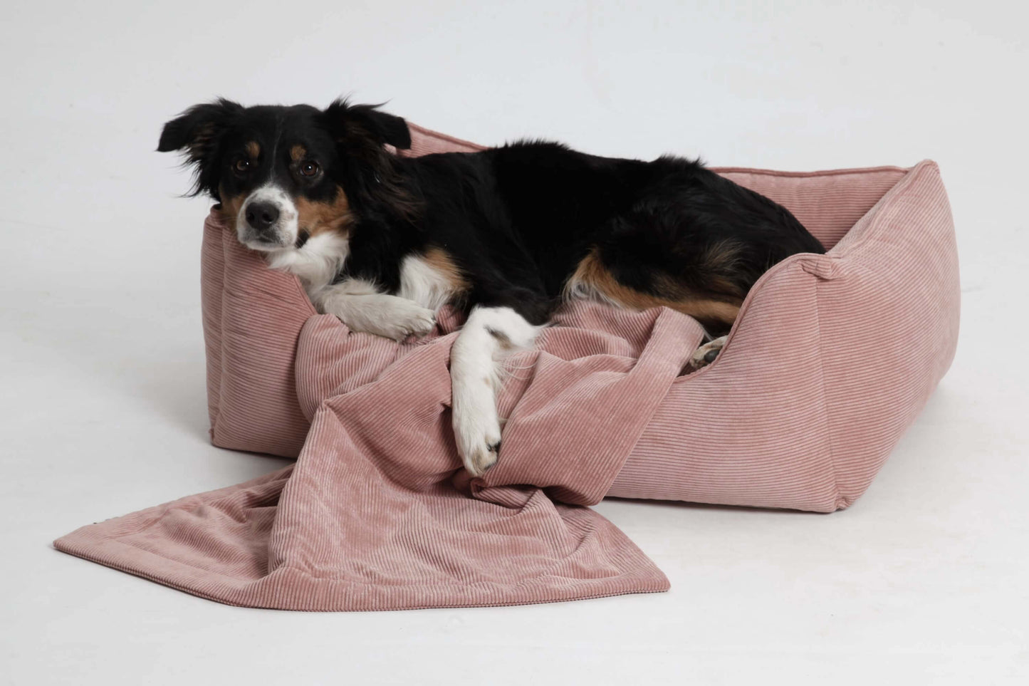 Dog Bed Chelsea Cord Gravel / Graphite / Forest Green / Rose