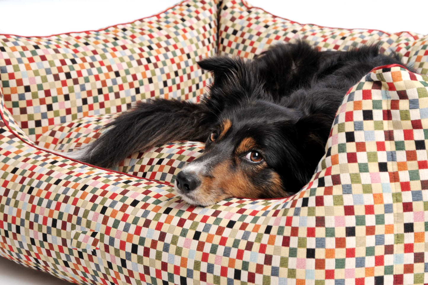 Dog Bed Chess